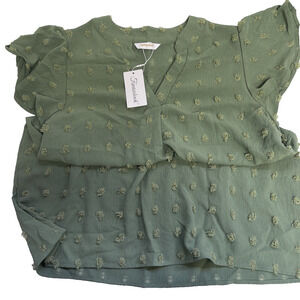Women’s New With Tags! Large Short Sleeve Cactus Green V Neck Top